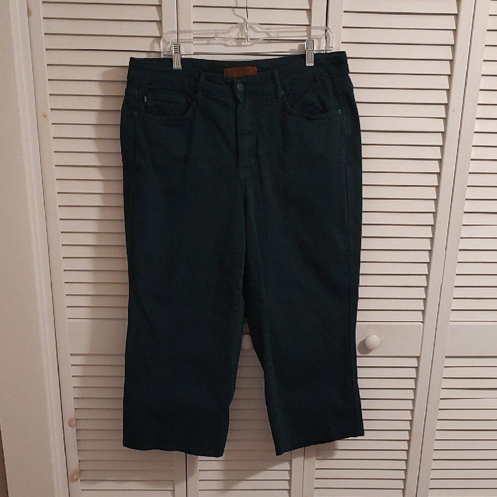 Judy Blue Forest Green Pants